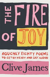 Book cover for The Fire of Joy