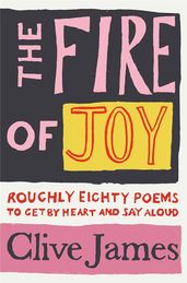 Book cover for The Fire of Joy