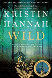 Another Life by Kristin Hannah