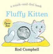 Book cover for Fluffy Kitten