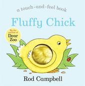 Book cover for Fluffy Chick