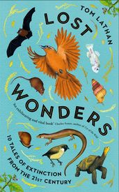 Book cover for Lost Wonders