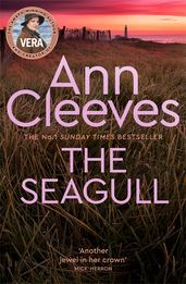 Book cover for Seagull