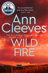 Book cover for Wild Fire