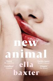 Book cover for New Animal