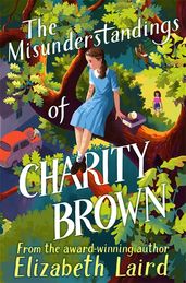 Book cover for The Misunderstandings of Charity Brown