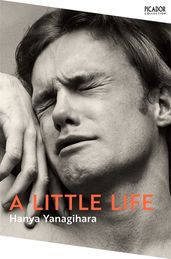 Book cover for Little Life