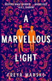 Book cover for A Marvellous Light