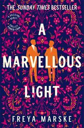 Book cover for Marvellous Light