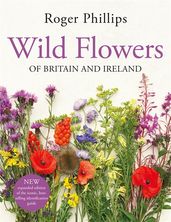 Book cover for Wild Flowers