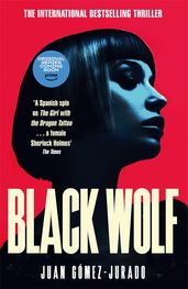 Book cover for Black Wolf