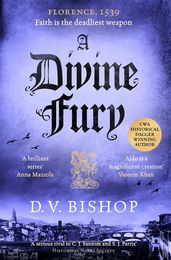 Book cover for Divine Fury