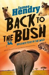 Book cover for Back to the Bush