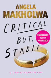 Book cover for Critical But, Stable