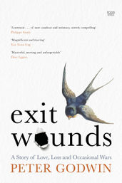 Book cover for Exit Wounds by Peter Godwin