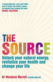 Book cover for The Source