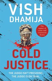 Book cover for Cold Justice