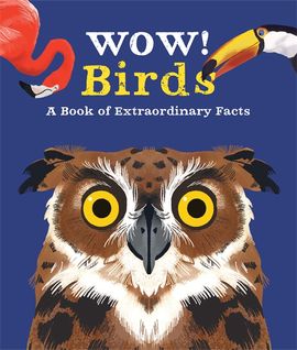 Book cover for Wow! Birds