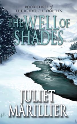 Book cover for The Well of Shades