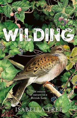 Book cover for Wilding