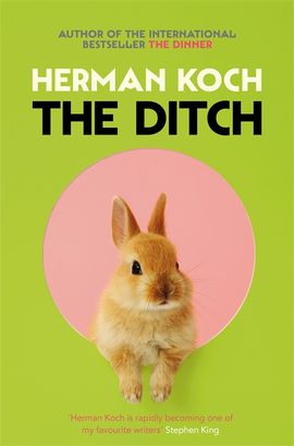 Book cover for The Ditch