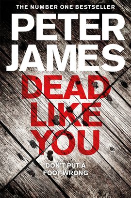 Book cover for Dead Like You