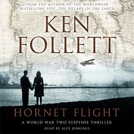 Book cover for Hornet Flight