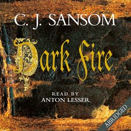 Book cover for Dark Fire