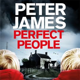 Book cover for Perfect People