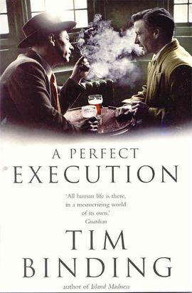Book cover for A Perfect Execution