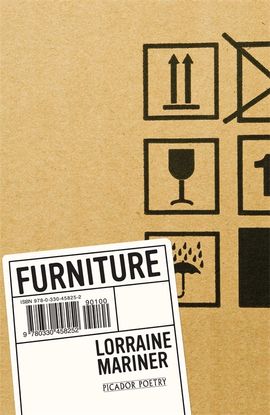 Book cover for Furniture