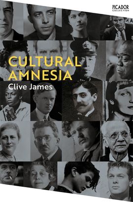 Book cover for Cultural Amnesia