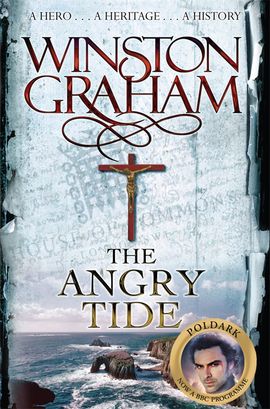 Book cover for The Angry Tide