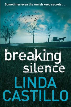 Book cover for Breaking Silence