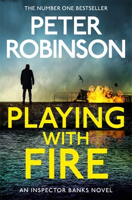 Book cover for Playing With Fire