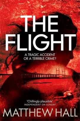 Book cover for The Flight