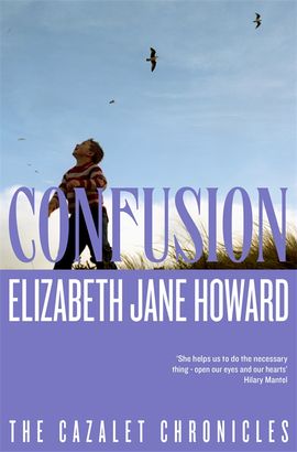 Book cover for Confusion