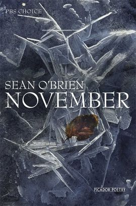 Book cover for November