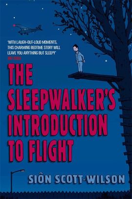 Book cover for The Sleepwalker's Introduction to Flight