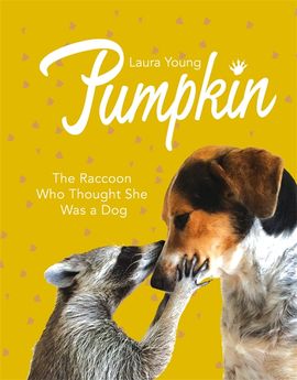 Book cover for Pumpkin: The Raccoon Who Thought She Was a Dog