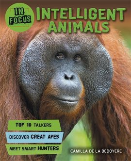 Book cover for In Focus: Intelligent Animals