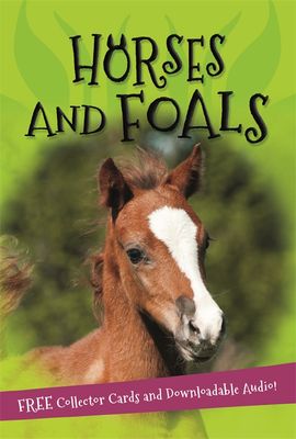 Book cover for It's all about... Horses and Foals