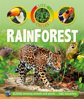 Book cover for Life Cycles: Rainforest