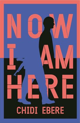 Book cover for Now I Am Here