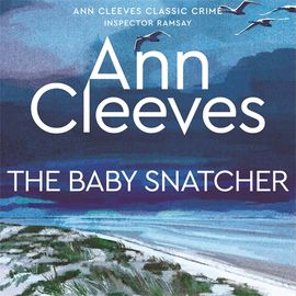Book cover for The Baby-Snatcher