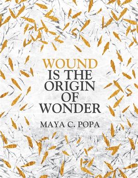 Book cover for Wound is the Origin of Wonder