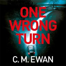 Book cover for One Wrong Turn