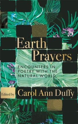 Book cover for Earth Prayers