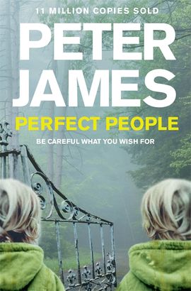 Book cover for Perfect People