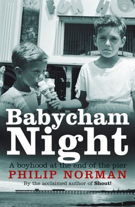 Book cover for Babycham Night
